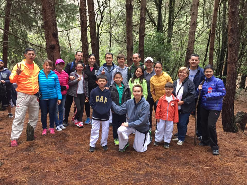 Actividades de integración