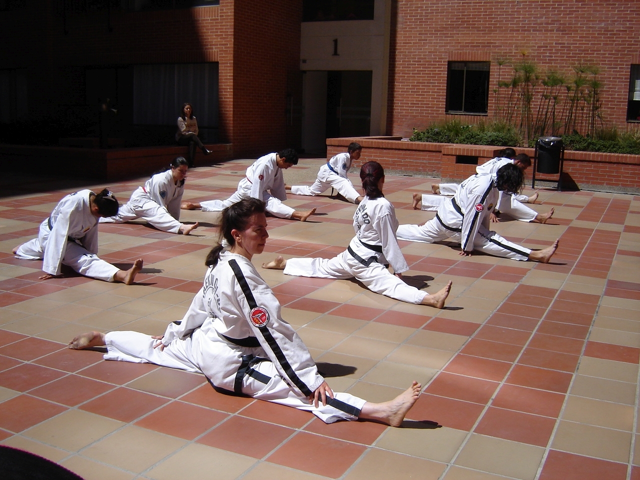 Ejercicios de flexibilidad